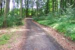 RadStrecke_39