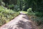RadStrecke_44